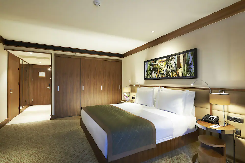 Divan Adana Hotel Deluxe Tek Büyük Yataklı Oda Resimleri