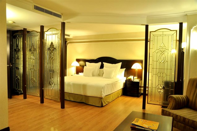 Altınel Ankara Hotel & Convention Center Executive Suite Resimleri
