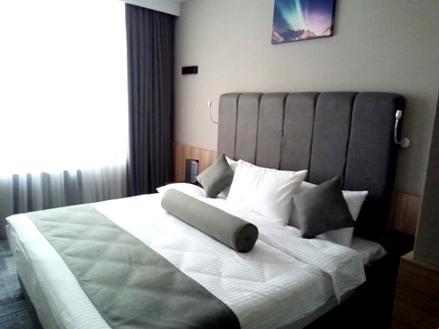 Best Western Plus Center Hotel Standart Oda Resimleri