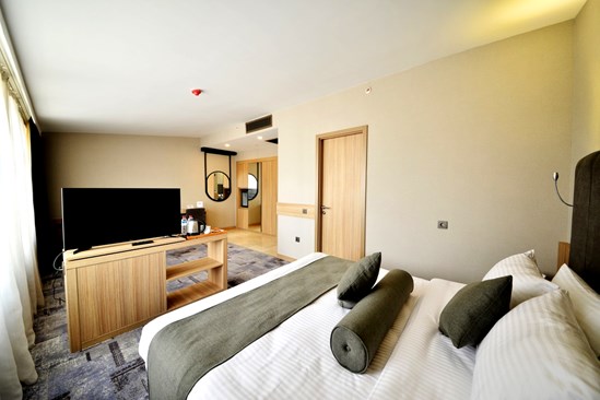 Best Western Plus Center Hotel Deluxe Oda Resimleri