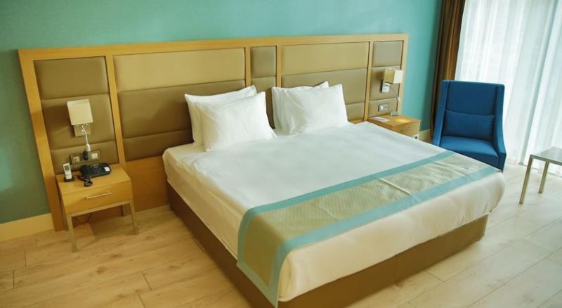 The Ankara Hotel Standart Oda Resimleri