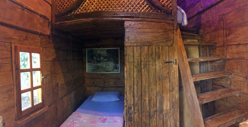 Antik Vadi Bungalov Otel Kazda?lar? Antik Palmiye Resimleri