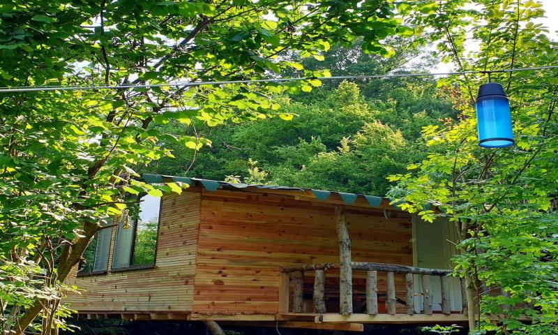 Küre Dağ Evi Dağ Evi 1 Resimleri