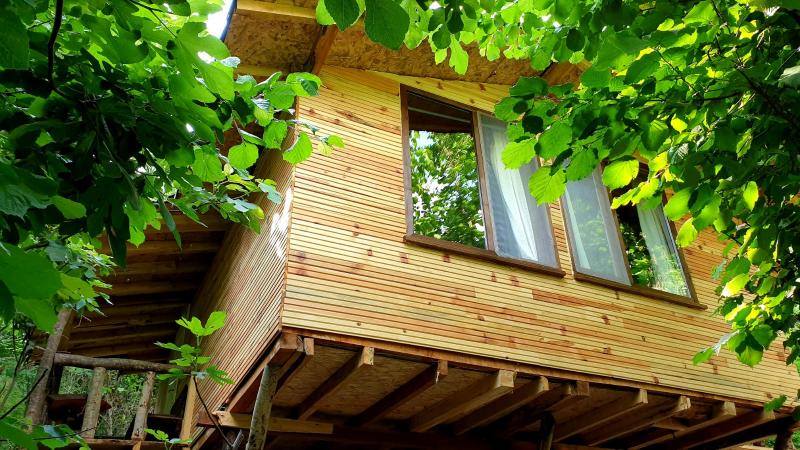 Küre Dağ Evi Bungalov 1 Resimleri