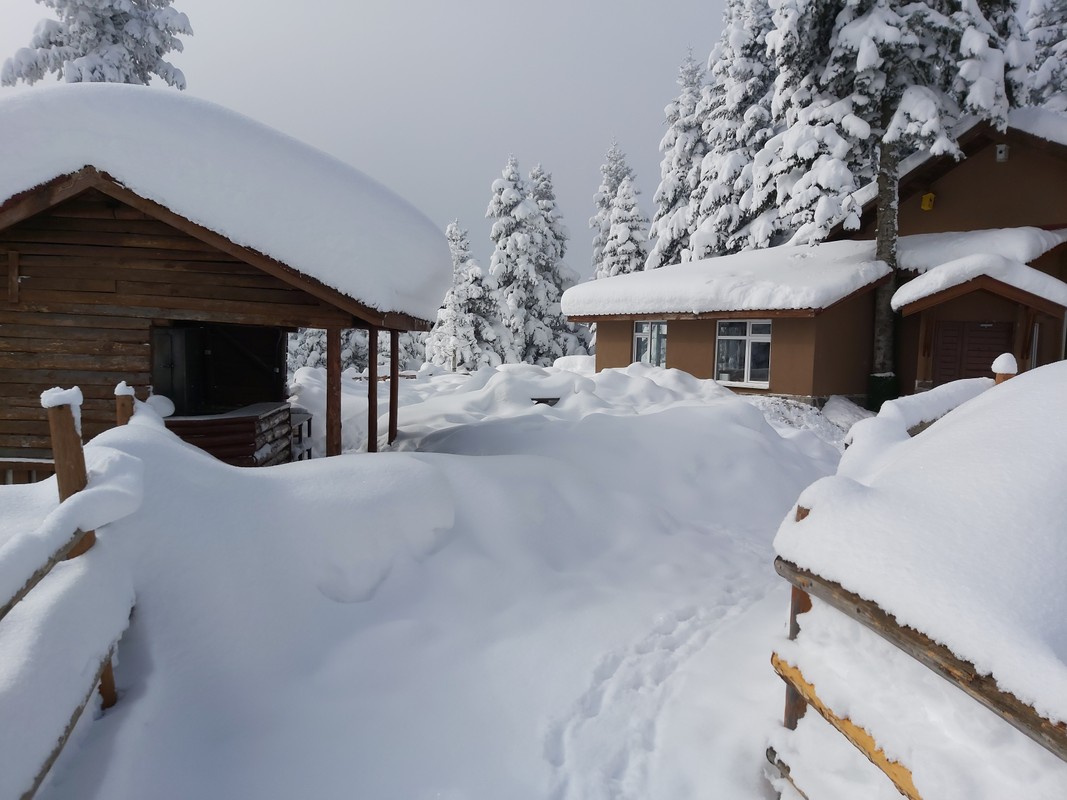 Elifim Resort Hotel