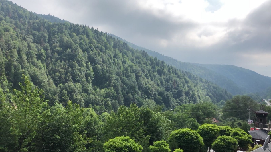 Abant Manzara Otel Standart Aile Odası Balkonlu Resimleri