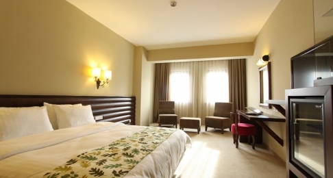 Superior Room Single 