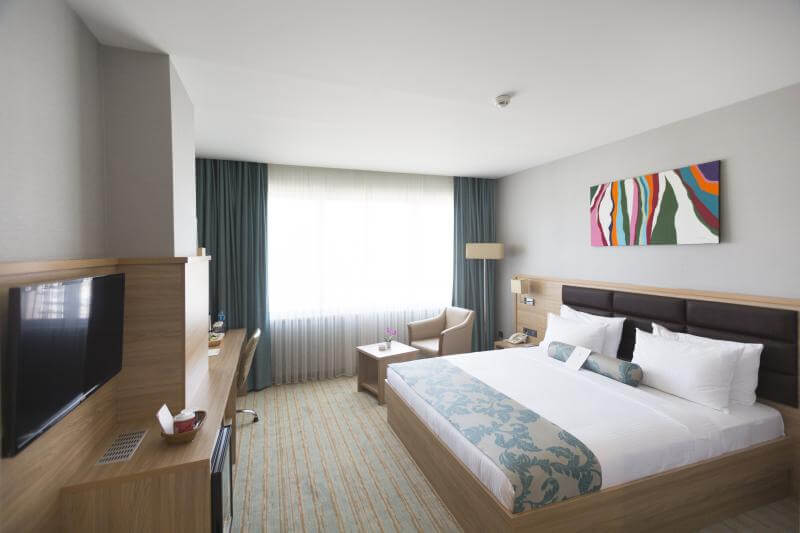 Park Dedeman Elazığ Superior King Room Resimleri