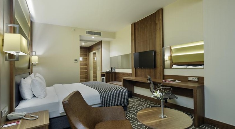 Ramada By Wyndham Elazığ Standart Oda Resimleri
