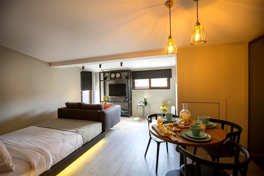 Cityloft 36 Studio With Terrace Resimleri