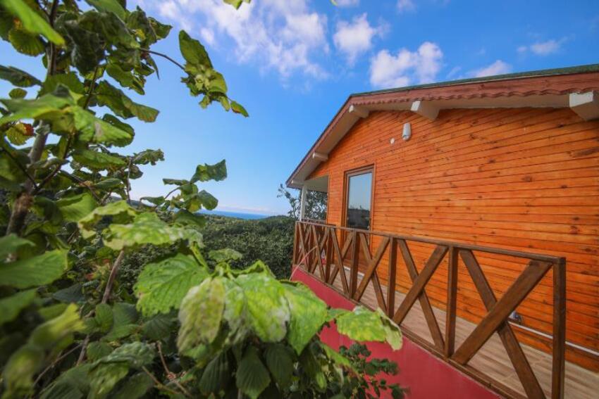 Ağva Kilimli Bungalow Deniz Manzaralı Jakuzili Bungalow Oda Resimleri