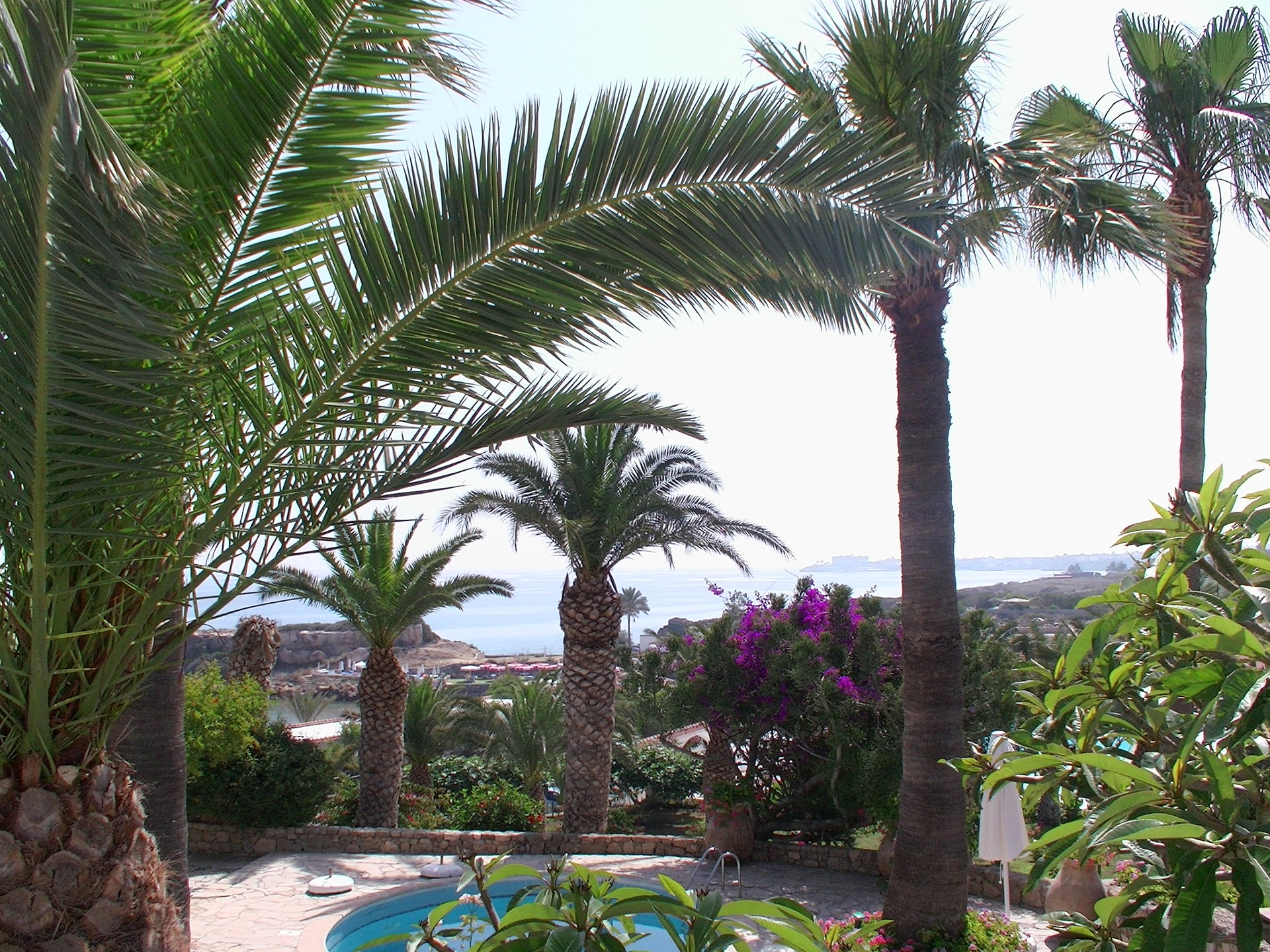 Deniz Kızı Royal Hotel