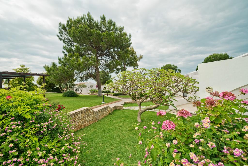 The Olive Tree Hotel