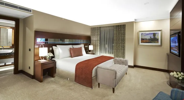 Divan Mersin Hotel Tek Yatak Odalı Suit  Resimleri