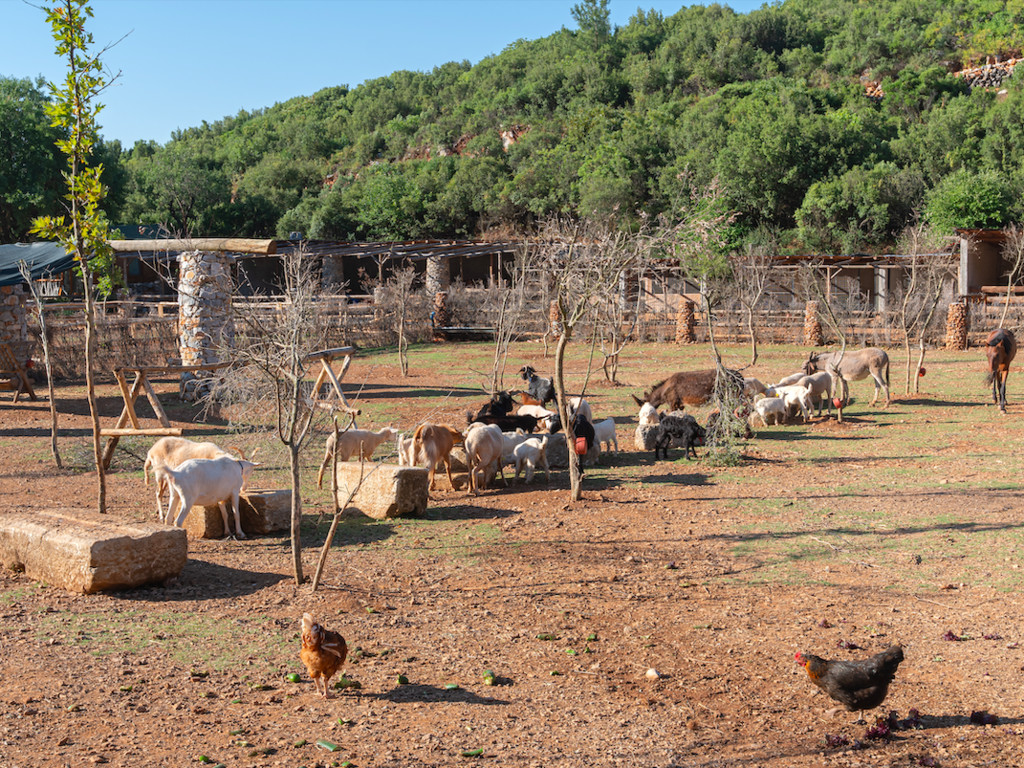 Yenice Vadi Natural Life Village