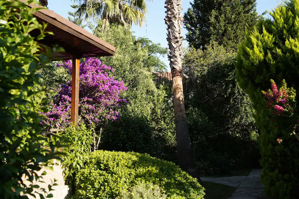 Dalyan Yunus Hotel